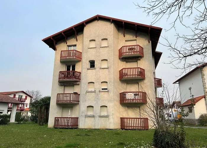 Charmant T1 Bis A Cambo-Les-Bains Avec Balcon, Ascenseur Et Parking - Fr-1-495-31